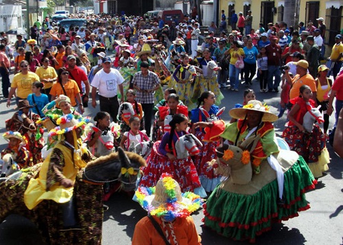 El desfile de Burras, Burriquitas y Pollinas tradicionales vuelve después de varios años hasta San Pablo, Yaracuy