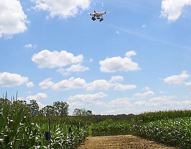 Imágenes obtenidas a través de drones y procesadas con Inteligencia Artificial podrían contribuir a mejorar los cultivos.