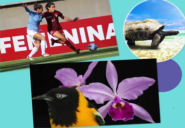 Día de las Futbolistas Femeninas, las tortugas, y de la adopción del turpial y las orquídeas como símbolos nacionales venezolanos