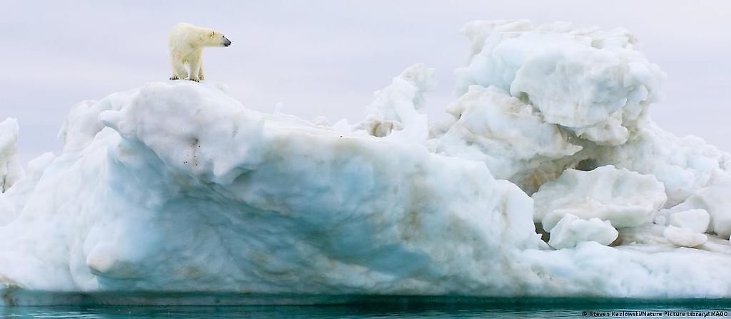 Oso polar ("Ursus maritimus") de pie sobre un iceberg flotando en el mar de Beaufort, océano Ártico