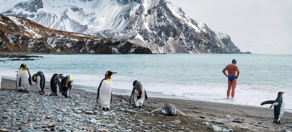Un hombre se prepara para nadar mientras unos pingüinos retozan en una playa de la Antártida