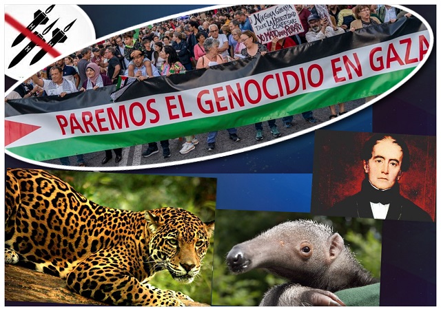 Día del nacimiento de Don Andrés Bello y Día del Escritor. Es el Día Internacional de Solidaridad con Palestina. También es una efeméride dedicada a la conservación de dos especies en peligro: el jaguar y el oso hormiguero.
