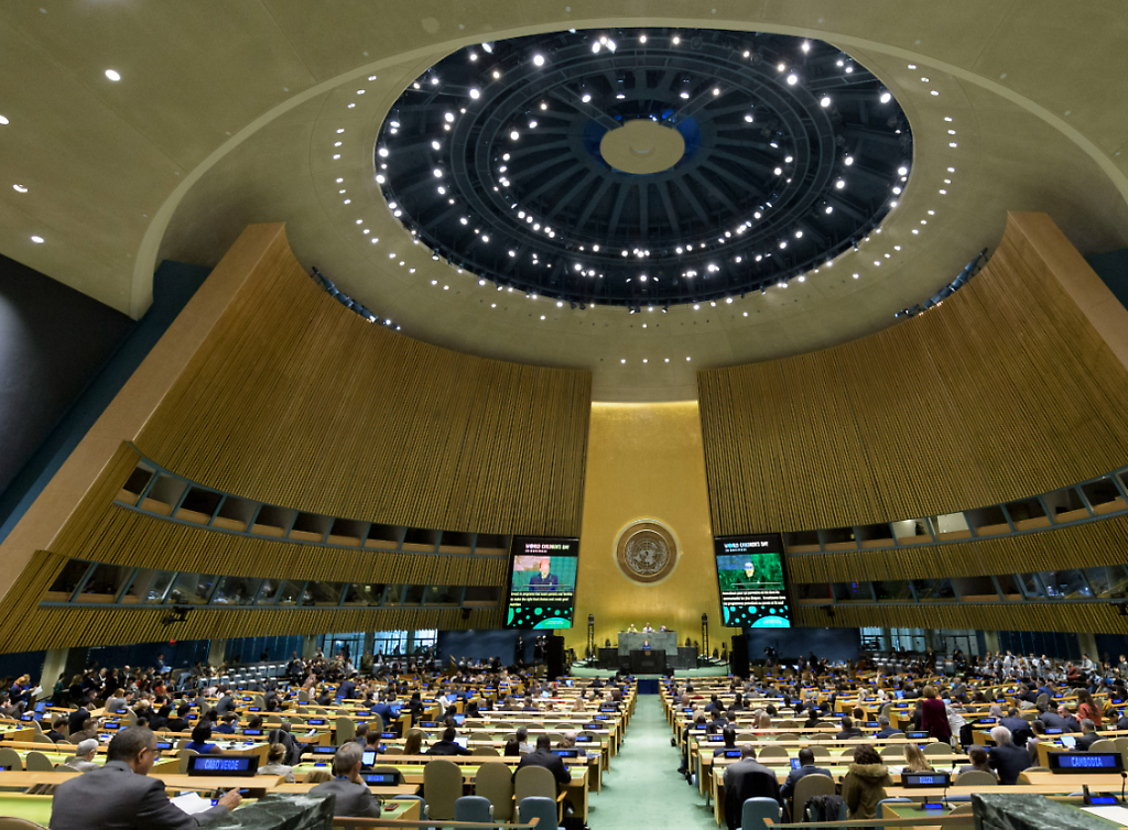 The UN General Assembly - 20 November 2019