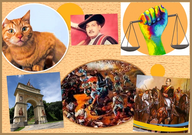 Imágenes alusivas a las efemérides destacadas del día 20 de febrero, por el Día del Gato, el nacimiento de Juan Vicente Torrealba, el Día de la Justicia Social y el Día de la Federación
